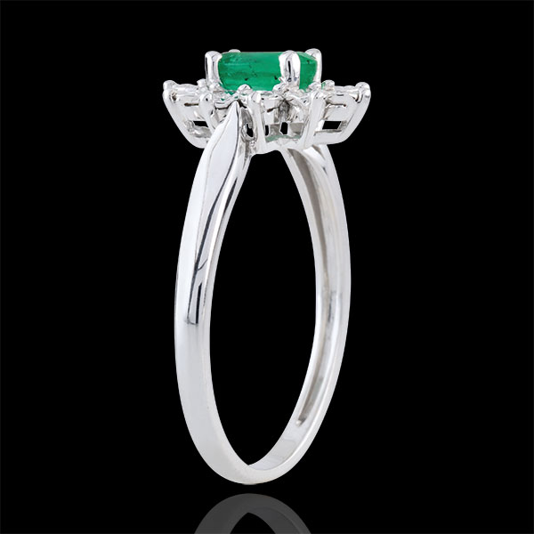 edenly ETERNEL EDELWEISS Nº1