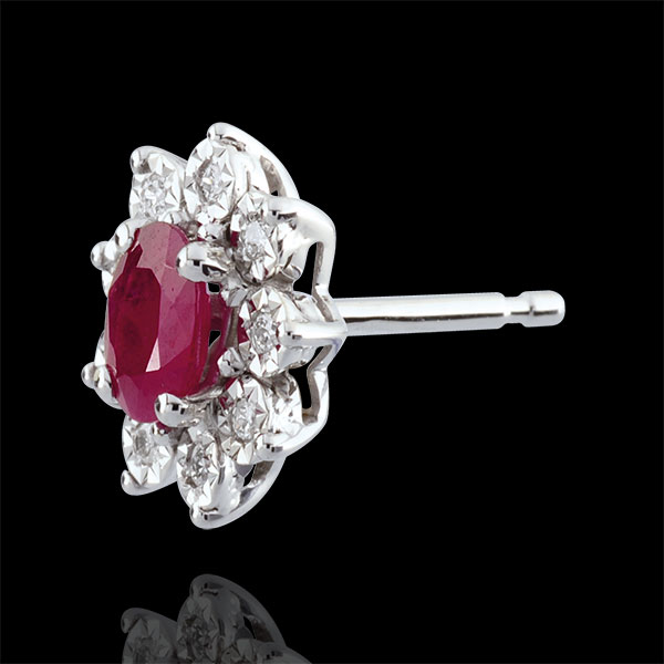 Edenly ETERNEL EDELWEISS Nº4