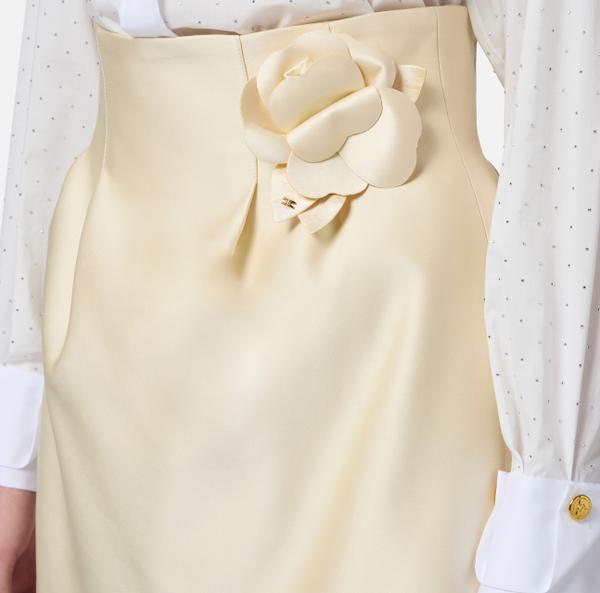 Elisabetta Franchi Jupe En Duchesse Avec Fleur