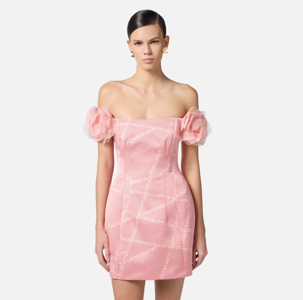 Elisabetta Franchi Robe En Duchesse Avec Imprimé Pois Et Rubans