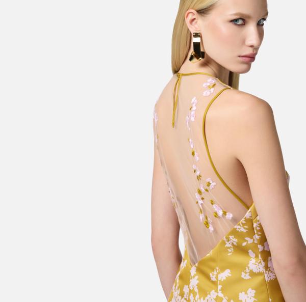 Elisabetta Franchi Robe En Duchesse Imprimé Et Tulle