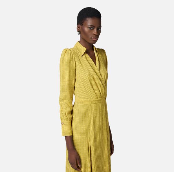 Elisabetta Franchi Robe En Viscose Avec Imprimé Pois