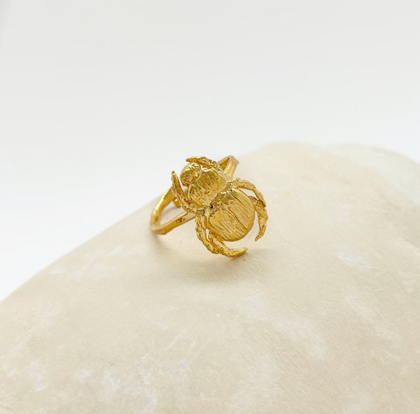 elise tsikis paris Bague Iepa