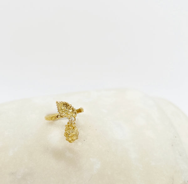 elise tsikis paris Bague Lupsis - archive