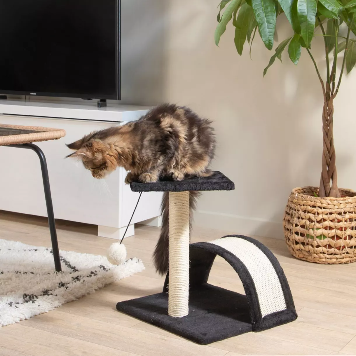 eminza Arbre à chat avec jouet et tunnel Anthracite
