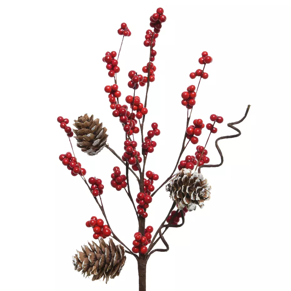 eminza Branche de baies (30 cm) Pommes de pin Nature et Rouge