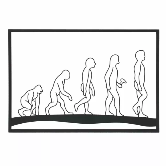 Eminza Décoration Murale En Métal (70 X H50 Cm) Evolution Noir