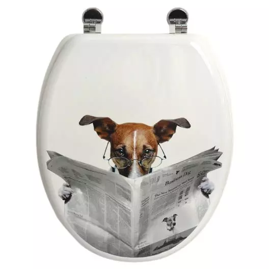 eminza Abattant WC 18 pouces Alli Gris