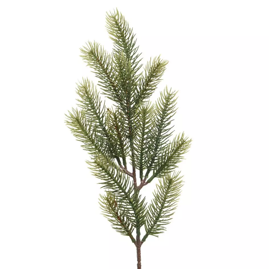 eminza Branche de sapin (52 cm) Omorika Vert