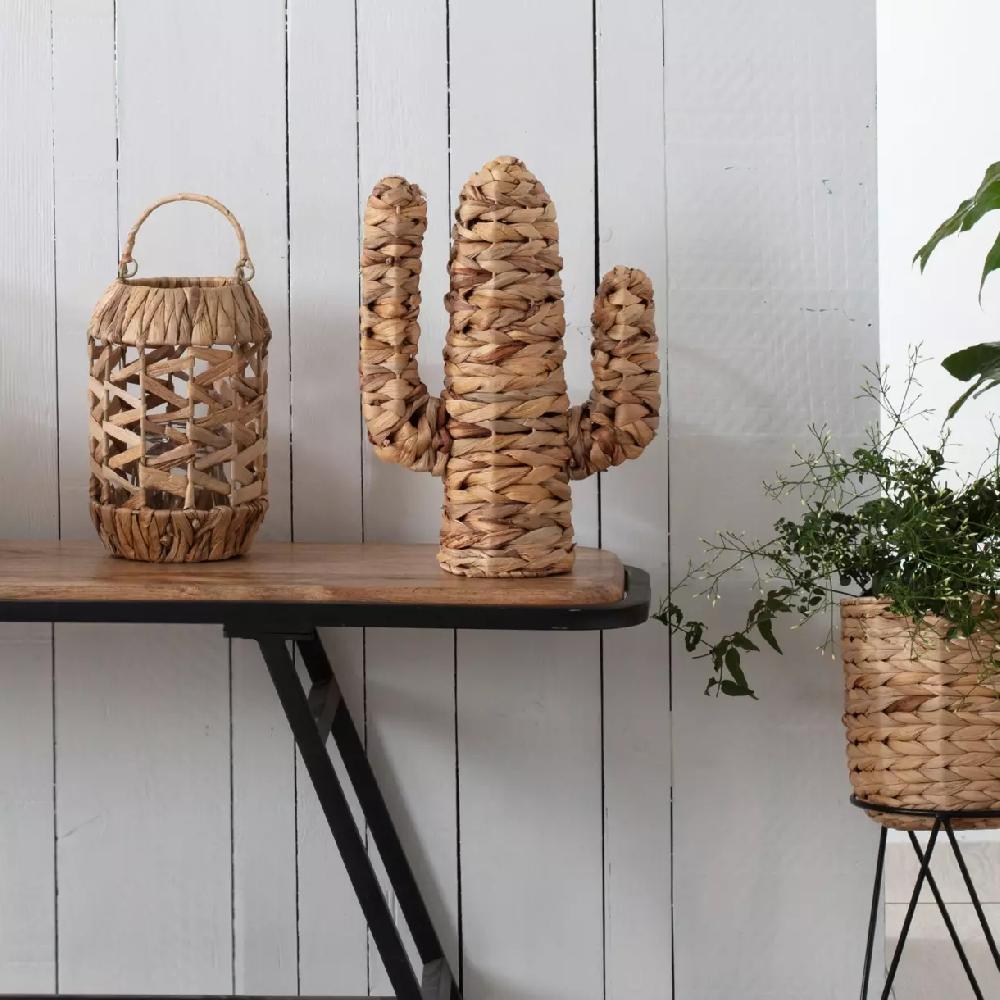 eminza Cactus déco en jacinthe d'eau (H35 cm) Haci