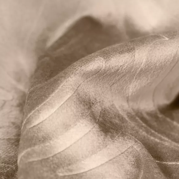 Eminza Coussin Carré Velours (60 X 60 Cm) Fern Taupe