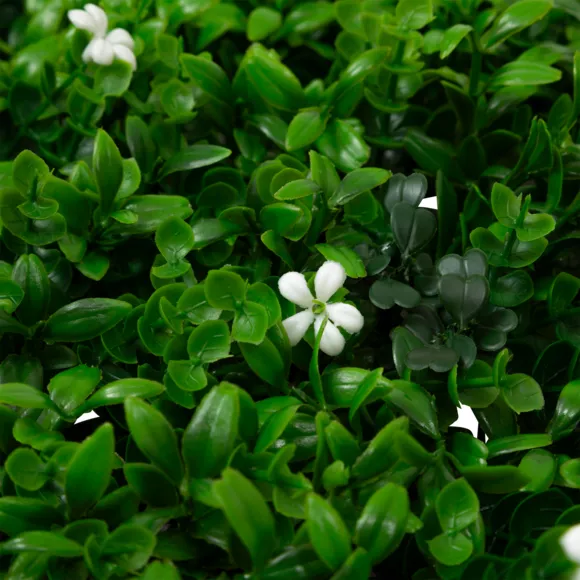 Eminza Mur Végétal Carré (50 X 50 Cm) Izy Vert