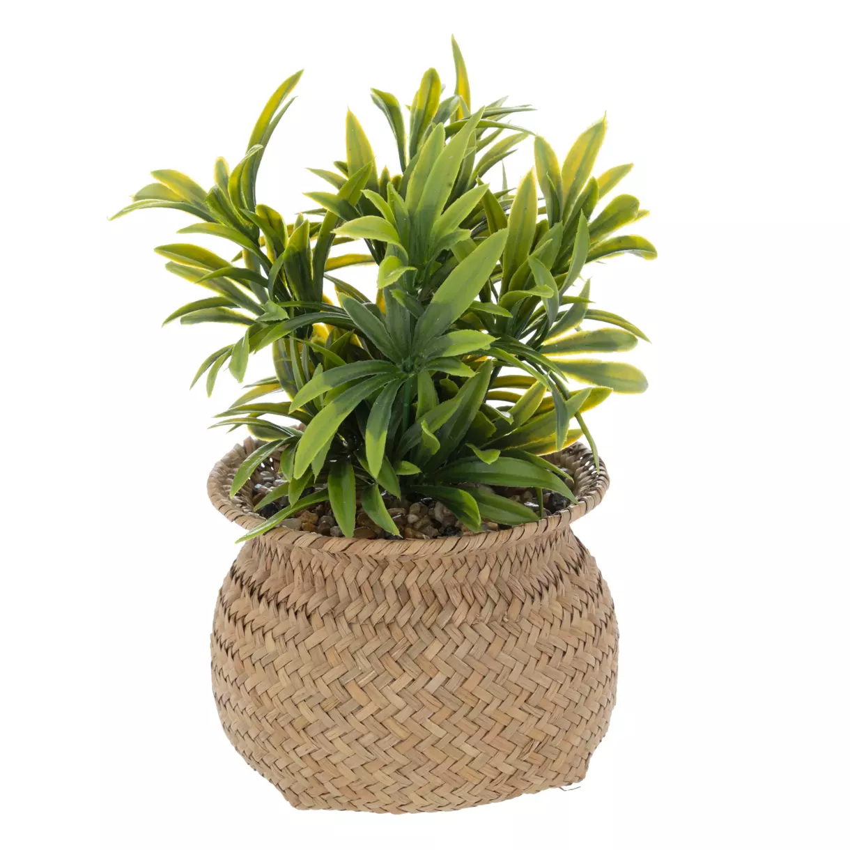 eminza Plante artificielle en pot (H20 cm) Jil Verte