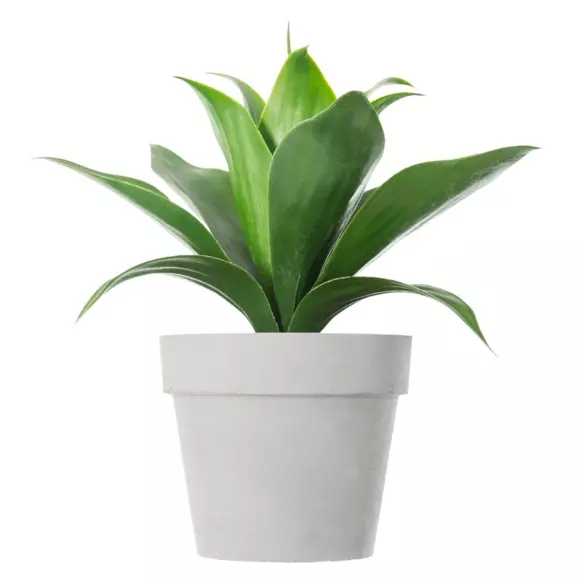 Eminza Plante Artificielle (H34 Cm) Aloe Vera
