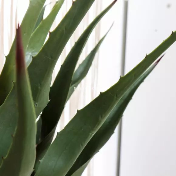 Eminza Plante Artificielle (H73 Cm) Palmier En Pot