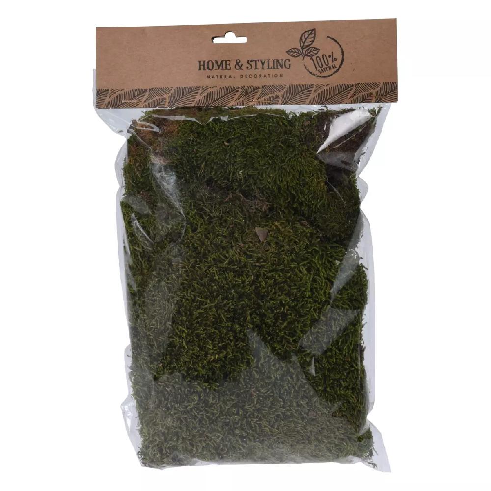 eminza Sachet de 100 gr mousse artificielle