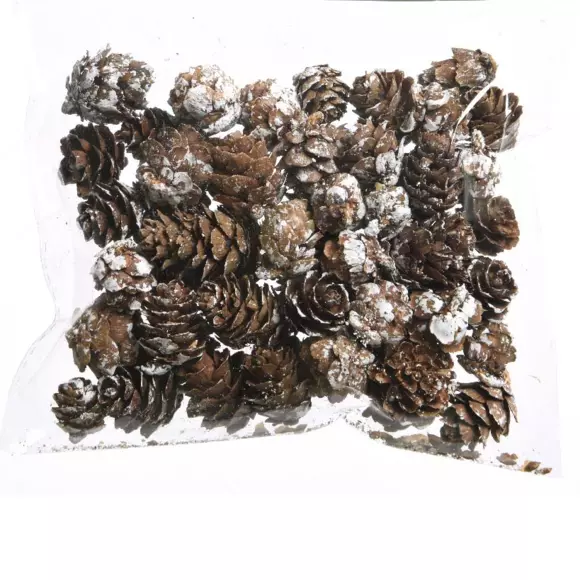 Eminza Sachet De Pommes De Pin (45 Gr) Naturel