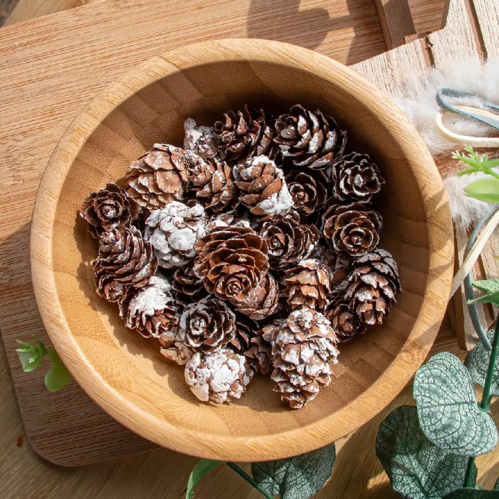 eminza Sachet de pommes de pin (45 gr) Naturel