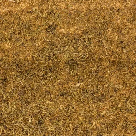 Eminza Tapis De Crèche (70 X 50 Cm) Mousse Naturelle