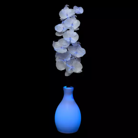 Eminza Vase Orchidée Lumineux à Piles Multicolore