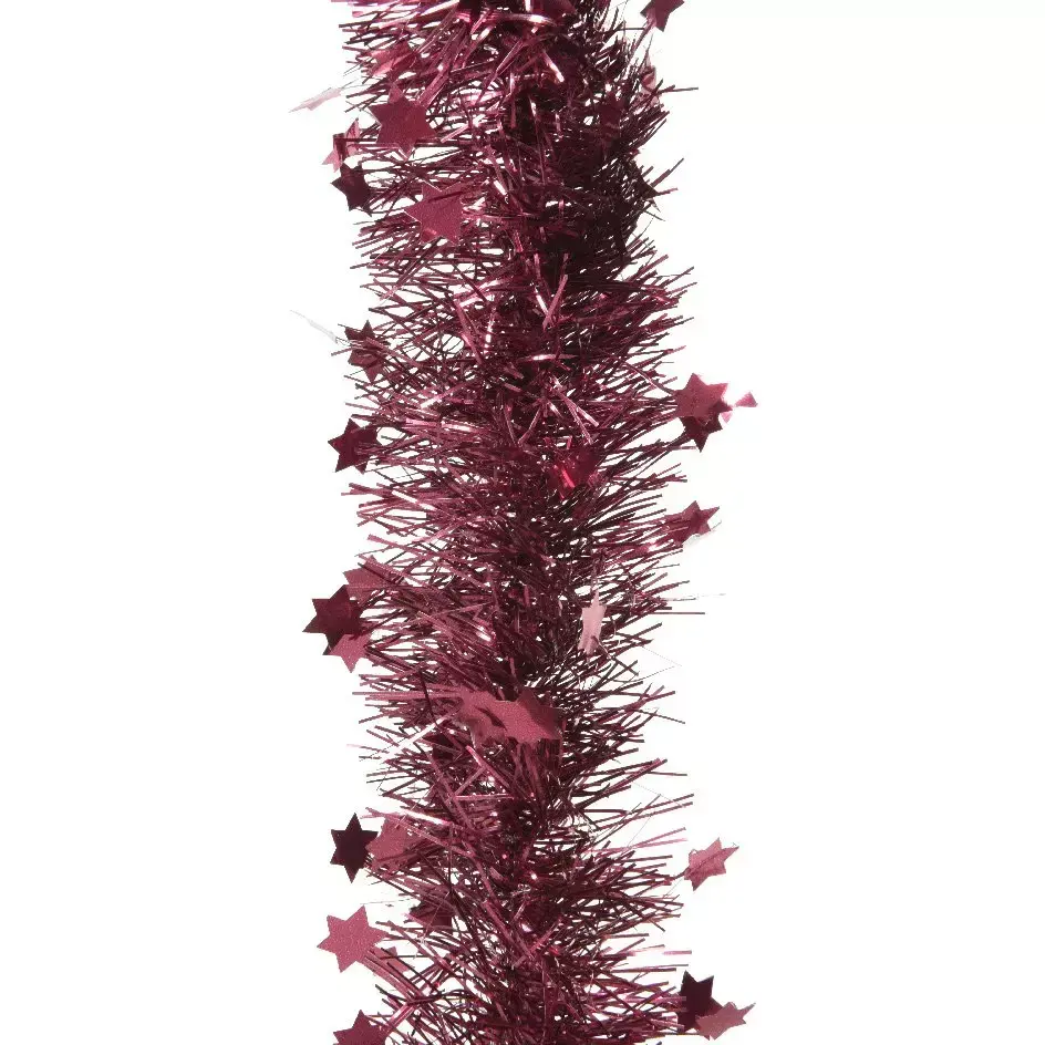 eminza Guirlande de Noël (D10 cm) étoilée Alpine Magnolia