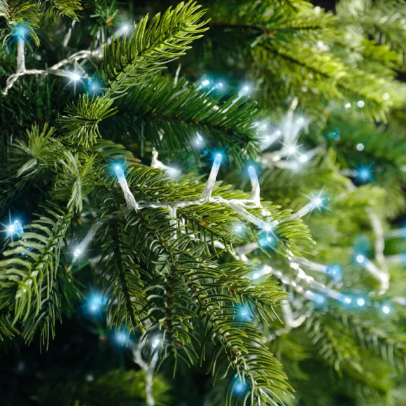 Eminza Guirlande Lumineuse 22 5 M 1000 LED Câble Transparent Luxe Bicolore Blanc/bleu