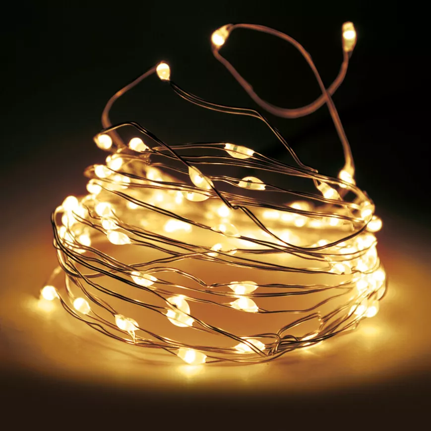 eminza Guirlande lumineuse 24 m 240 Micro LED Fil d'argent Blanc chaud