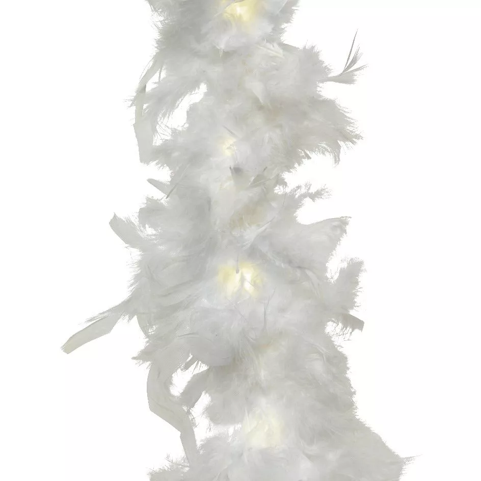 eminza Guirlande lumineuse à piles 20 LED (1 8 m) Boa Blanc chaud