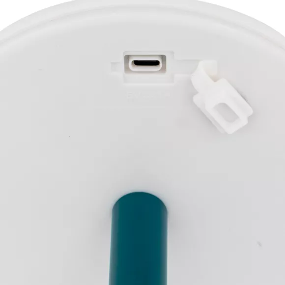 Eminza Lampe à Poser Extérieur LED Métal (H30 5 Cm) Zack Bleu Canard