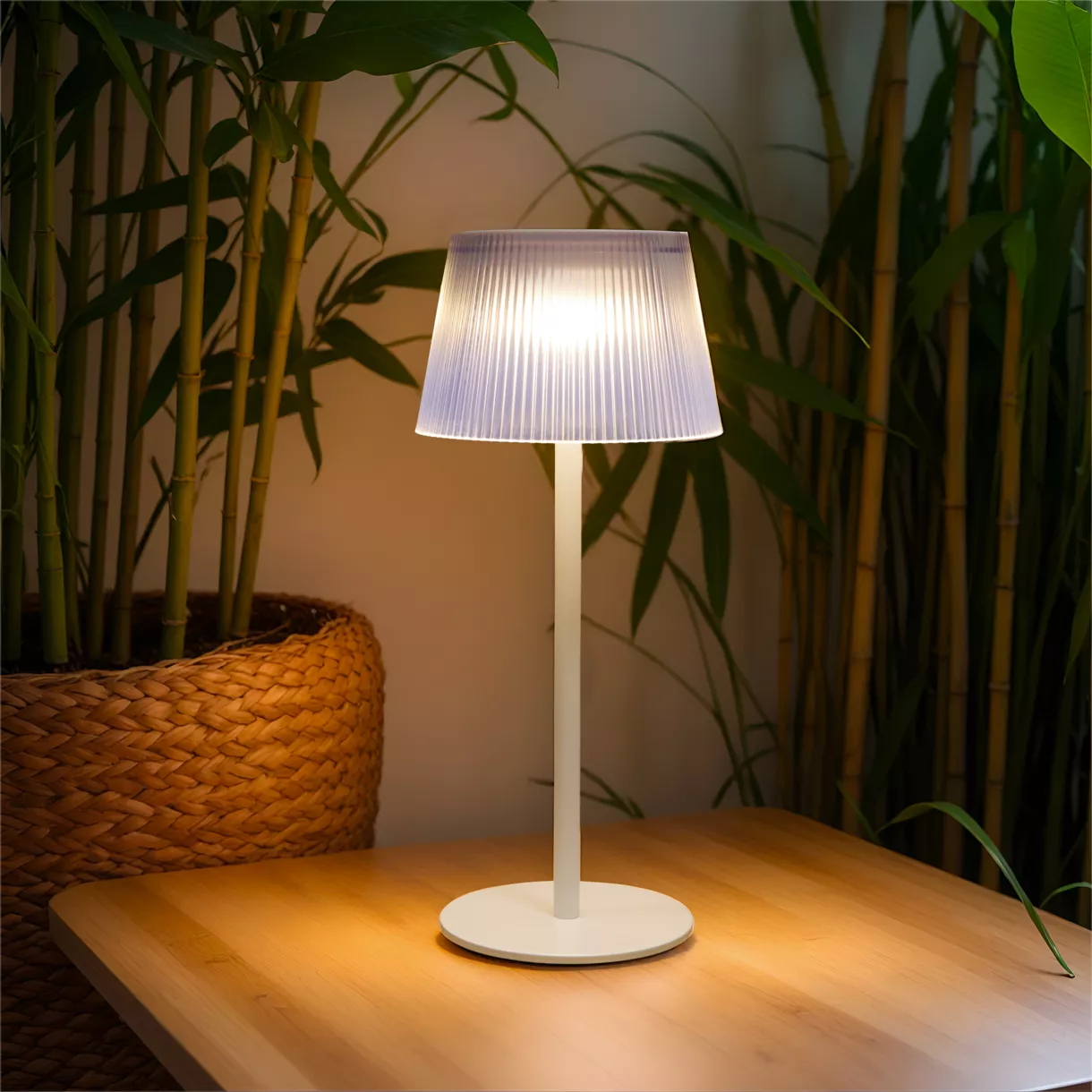 eminza Lampe à poser extérieur solaire/USB (H20 cm) Katy Blanche