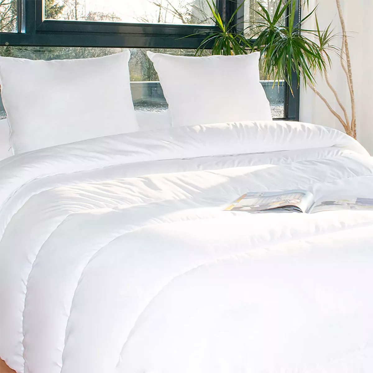 eminza Lot Couette chaude anti-acariens (260 x 240 cm) + 2 Oreillers (60 x 60 cm) Comète Blanche