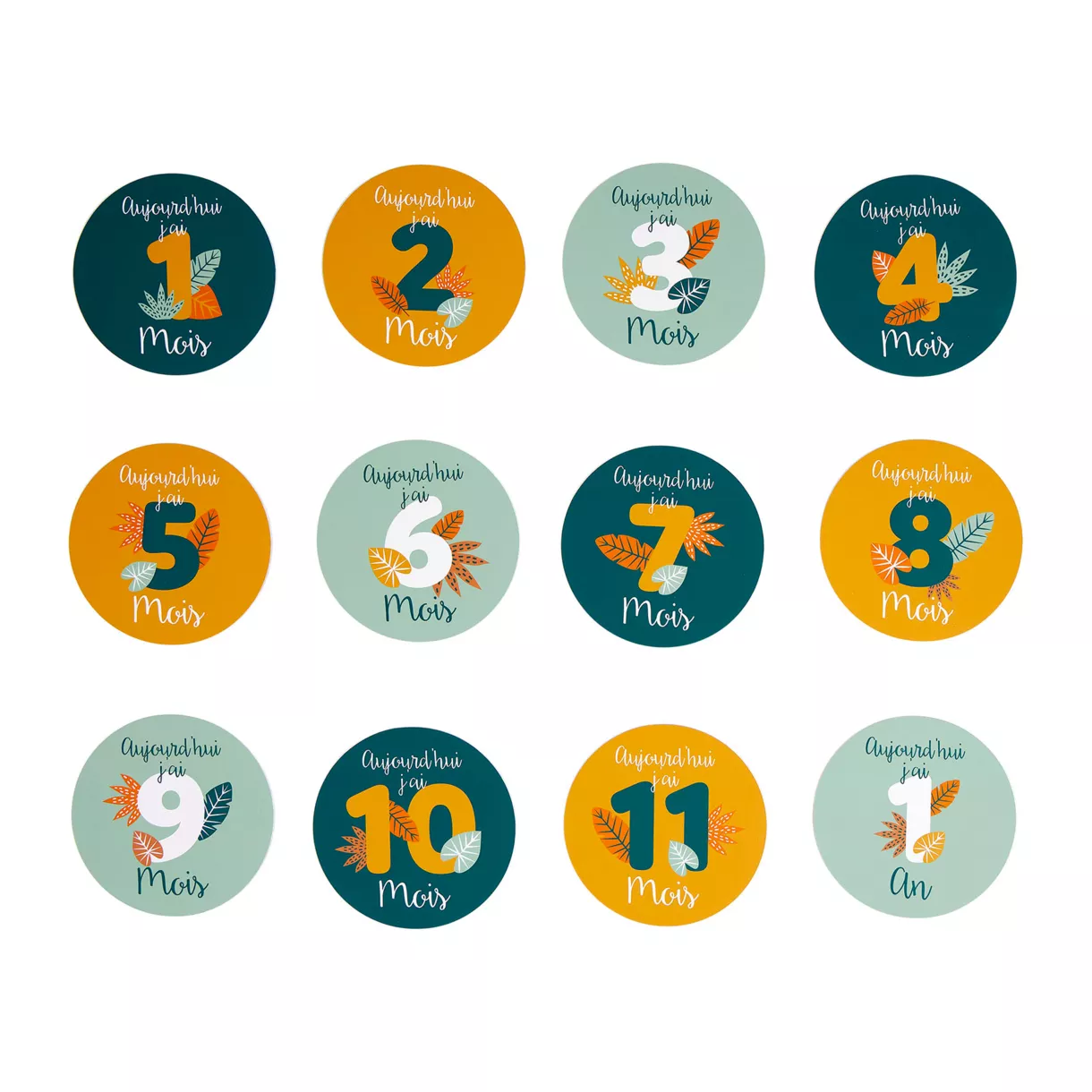 eminza Lot de 12 cartes étapes bébé carton (10 cm) Mois Multicolore