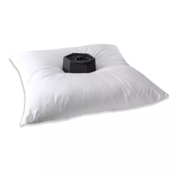 Eminza Lot De 2 Oreillers Carrés Moelleux (60 X 60 Cm) Volume Blanc