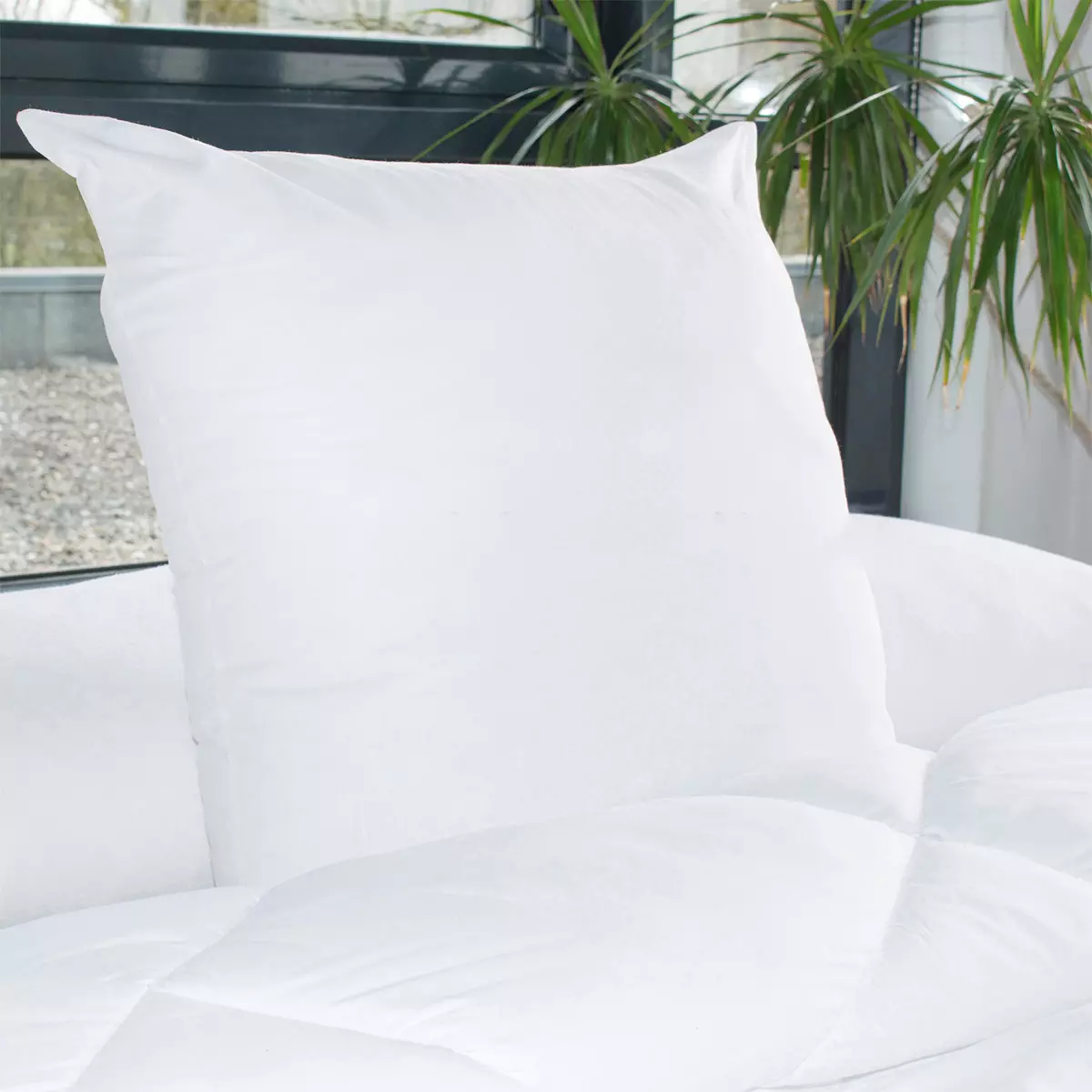eminza Lot de 2 oreillers carrés moelleux (60 x 60 cm) Volume Blanc