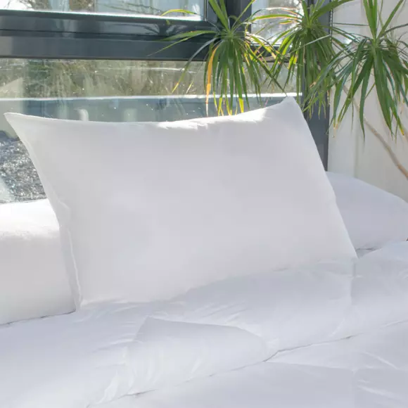 Eminza Lot De 2 Oreillers Rectangulaires (45 X 70 Cm) Moelleux Anti-acariens Blanc