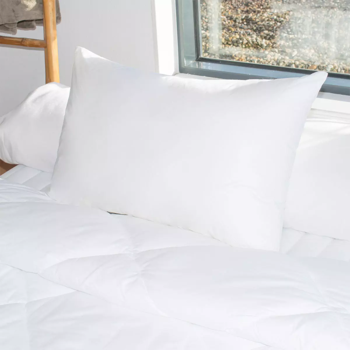 eminza Lot de 2 oreillers rectangulaires (45 x 70 cm) Moelleux Anti-acariens Blanc