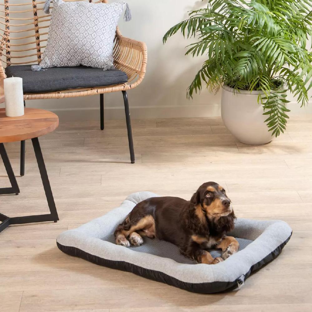 eminza Matelas pour chat et chien Graphène L60 cm Gris