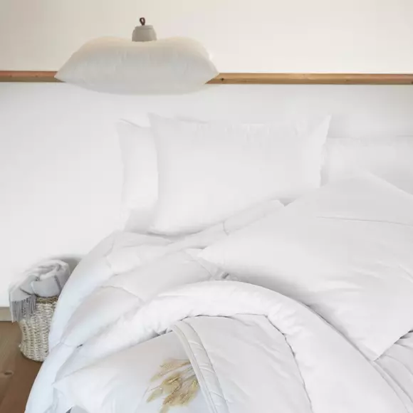 Eminza Oreiller Anti Acarien Carré (60 Cm) Sirius Blanc