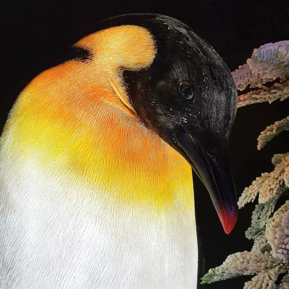 Eminza Pingouin Lumineux Et Son Bébé Fibre De Verre 8 LED (H60 Cm) Blanc Froid