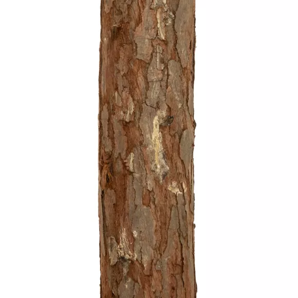 Eminza Sapin Artificiel De Noël Nordstar H150 Cm Vert Enneigé