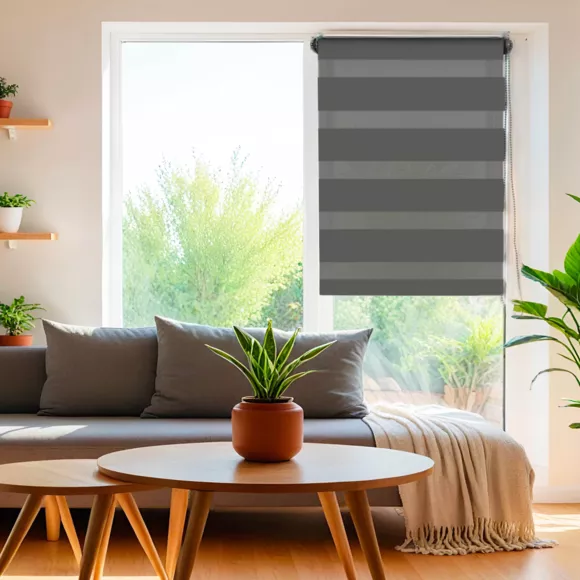 Eminza Store Enrouleur Jour / Nuit (90 X 250 Cm) Gris Anthracite