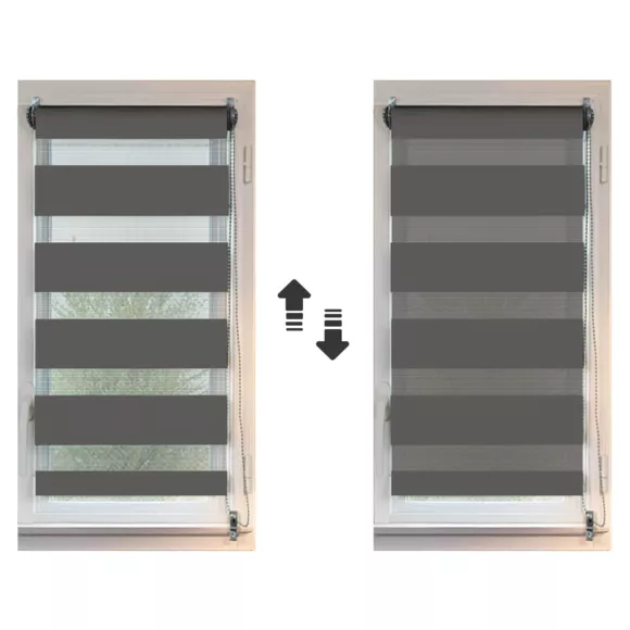 Eminza Store Enrouleur Jour / Nuit (90 X 250 Cm) Gris Anthracite