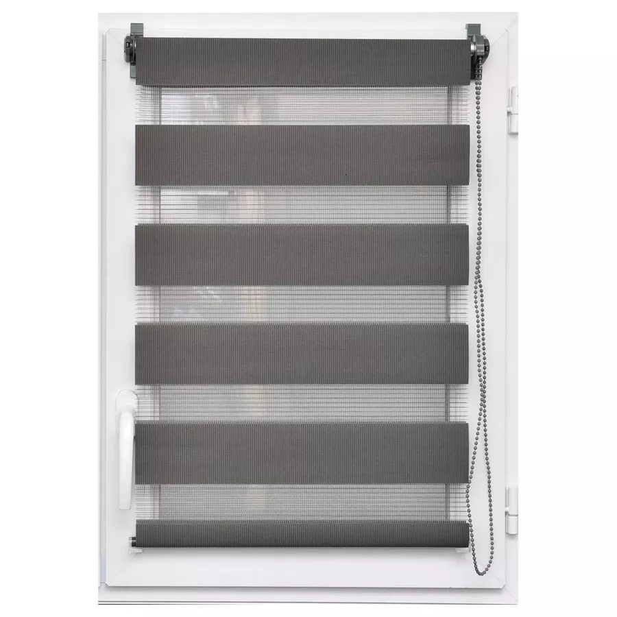 Eminza Store Enrouleur Jour / Nuit (90 X 250 Cm) Gris Anthracite