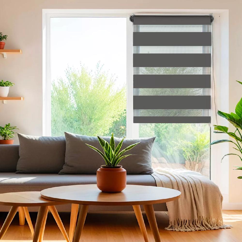 eminza Store enrouleur Jour / Nuit (90 x 250 cm) Gris anthracite