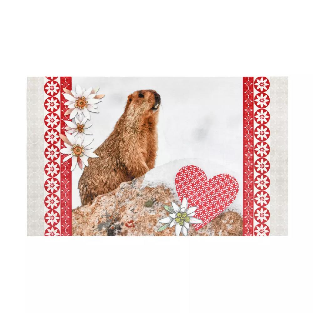 eminza Tapis antidérapant (45 x 75 cm) Beaufort Multicolore