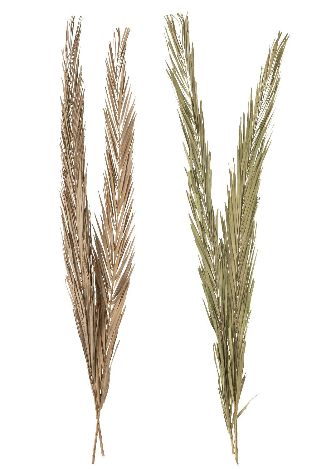 Emob Bladeren Khajur 2 Stukken Groen Assortiment Van 2