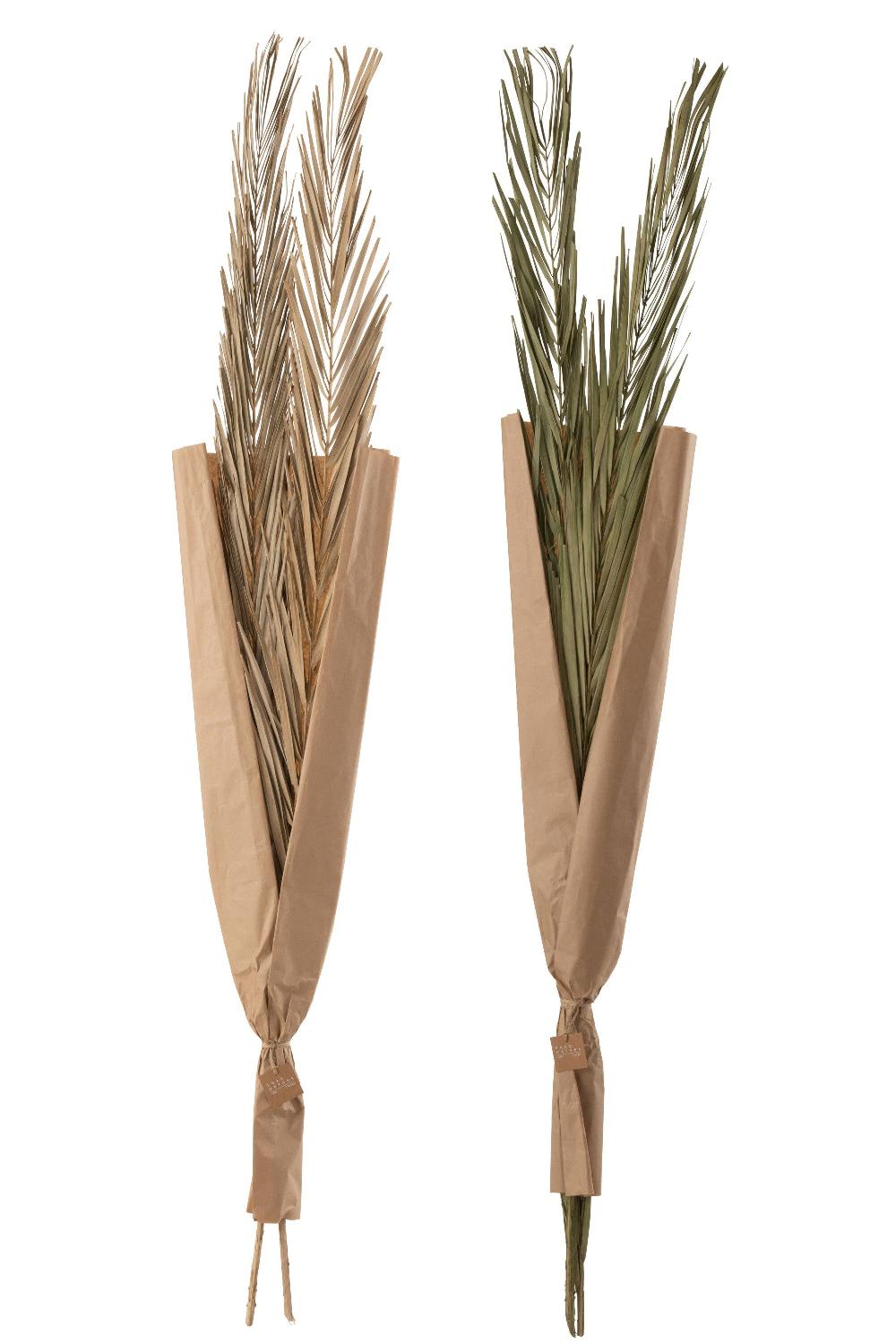 Emob Bladeren Khajur 2 Stukken Groen Assortiment Van 2