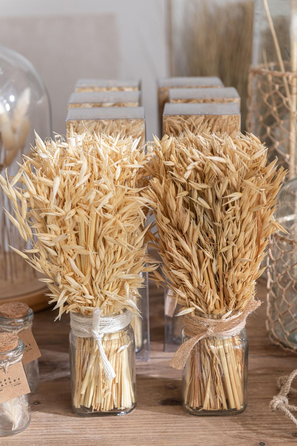 Emob Bundel Gedroogde Avana Gras In Vaas Naturel Assortiment Van 2