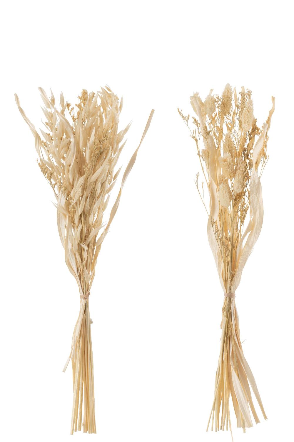 Emob Bundel Gedroogde Avana Gras Naturel Assortiment Van 2