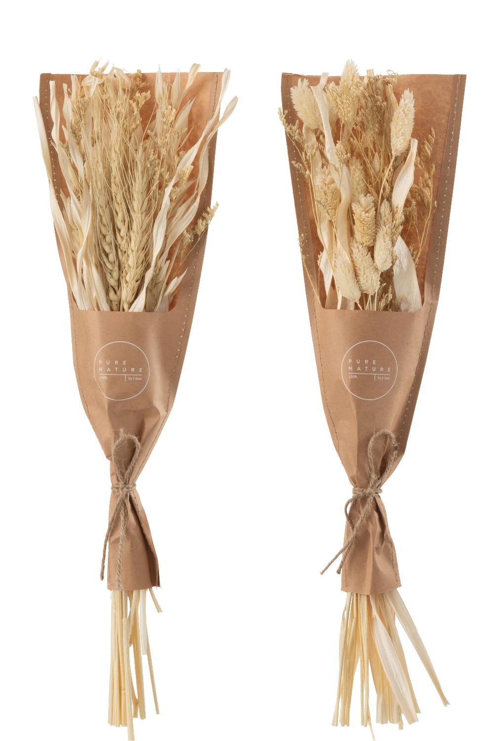 Emob Bundel Gedroogde Avana Gras Naturel Assortiment Van 2